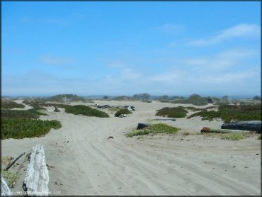 Terrain example at Samoa Sand Dunes OHV Area