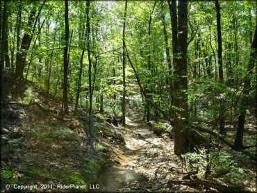 Wrentham Trails