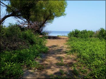 Otter Creek ATV Area Trail