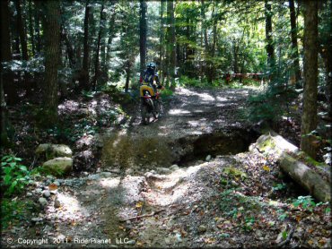 Honda CRF Trail Bike at Beartown State Forest Trail