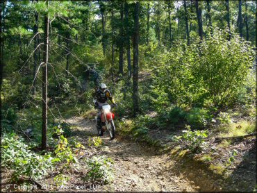 Honda CRF Motorcycle at Hodges Village Dam Trail