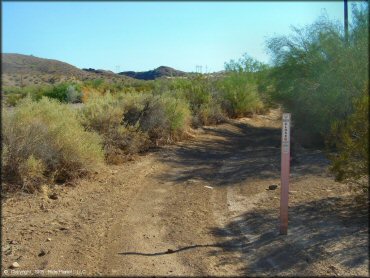 Example of terrain at Copper Basin Dunes OHV Area