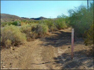 A trail at Copper Basin Dunes OHV Area