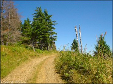 Example of terrain at Prairie Peak Trail