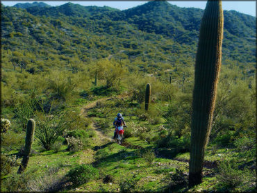 Boulders OHV Area Trail