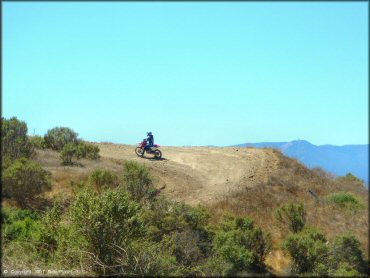 Honda CRF Dirt Bike at Santa Clara County Motorcycle Park OHV Area