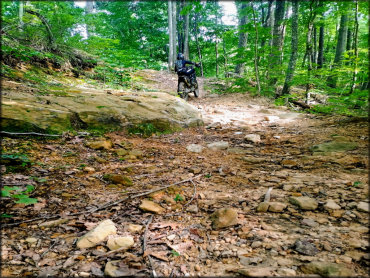 Redbird Crest Trail System