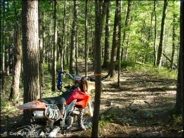 Honda CRF Trail Bike at Hodges Village Dam Trail