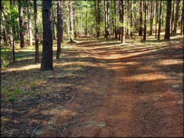 Munds Park OHV Trail System