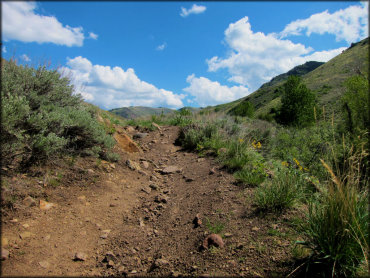 Single track motorcycle trail with loose chunk rock surrounded by sage brush.