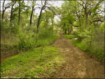 Some terrain at CrossCreek Cycle Park OHV Area