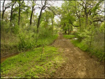 A trail at CrossCreek Cycle Park OHV Area