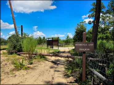 Forest service trail signage and informational kiosk.