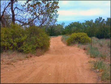 Example of terrain at Venango Park ATV Trail
