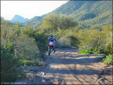 Honda CRF Dirtbike at Bulldog Canyon OHV Area Trail