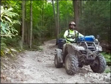 Michaux State Forest Trail