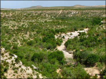 Scenic view of Birdsong Outpost Trail