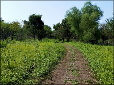 Otter Creek ATV Area Trail