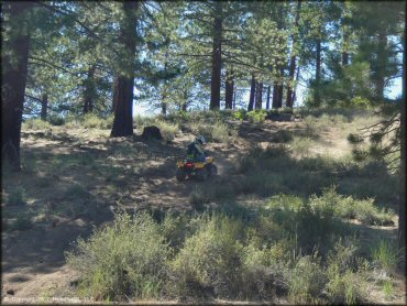 Honda Quad at South Camp Peak Loop Trail