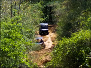 The Swamp Offroad Park Trail