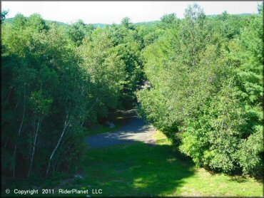 Photo of main entrance road entering the forest.