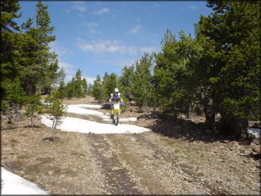 OHV at Crane Mountain OHV Trail