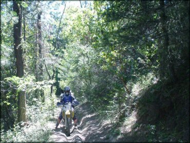 OHV at Trask OHV Area Trail