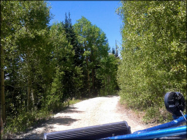 Pine Lake OHV Trail