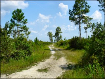 Mallory Swamp ATV Trail