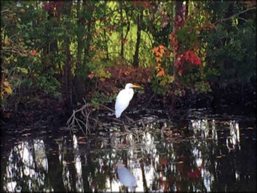 St. Marys Shoals Park Trail