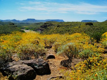 Table Mesa Recreation Area Trail