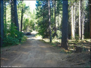 A trail at Interface Recreation Trails