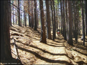 Honda CRF Dirt Bike at Elkins Flat OHV Routes Trail