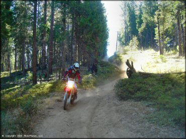 Honda CRF Motorcycle at Miami Creek OHV Area Trail