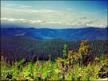 Scenic view of LaDee Flats OHV Area Trail