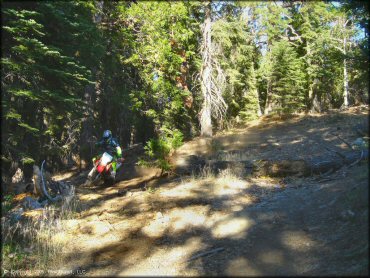 Honda CRF Dirt Bike at Black Springs OHV Network Trail