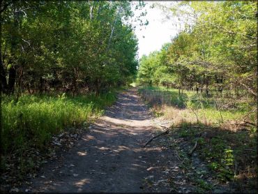 Otter Creek ATV Area Trail