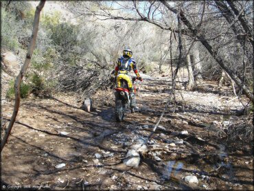 Honda CRF Dirt Bike at Mescal Mountain OHV Area Trail