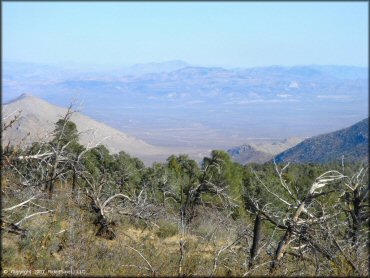 Scenery at Dove Springs Trail