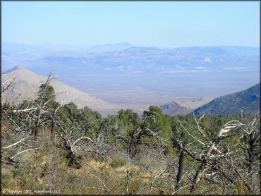 Scenery from Dove Springs Trail