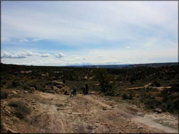 Rabbit Valley OHV Area Trail