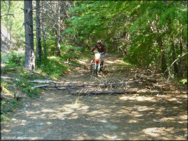 Honda CRF Motorcycle at Lubbs Trail