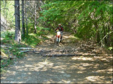 Honda CRF Dirt Bike at Lubbs Trail