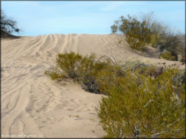 Example of terrain at Hot Well Dunes OHV Area