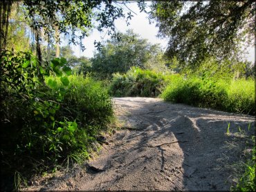 Peace River Campground Trail