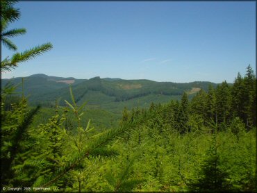 Scenic view of Upper Nestucca Motorcycle Trail System