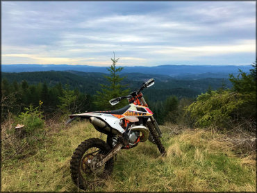 Nicolai Mountain OHV Area Trail