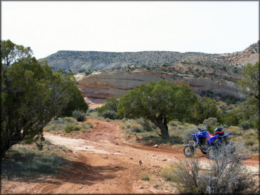 Rabbit Valley OHV Area Trail