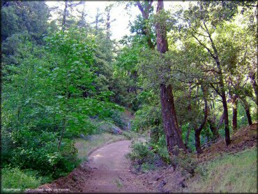 Ortega Trail
