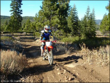 OHV at Billy Hill OHV Route Trail